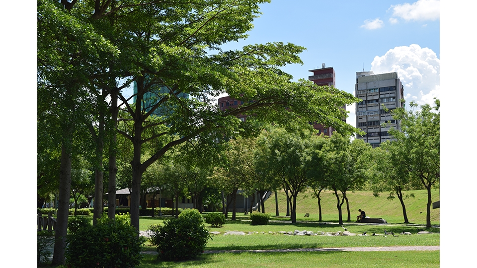 大林發電廠於98年認養中央公園綠地， 細心守護這片珍貴的都市綠心。